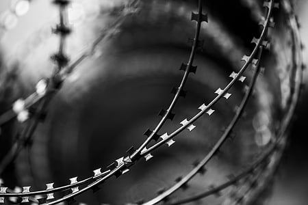 macro grayscale photography of barbed wire