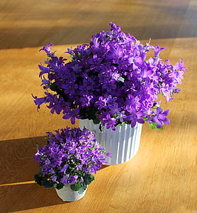 photo of purple petaled flower bouquet