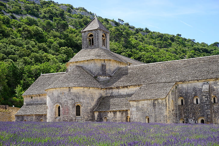 Royalty-Free photo: Chapel beside purple flower field during daytime ...