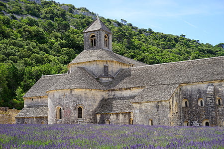 chapel beside purple flower field during daytime