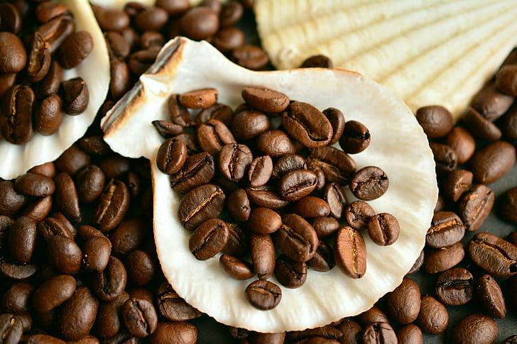 flat lay photography of coffee beans