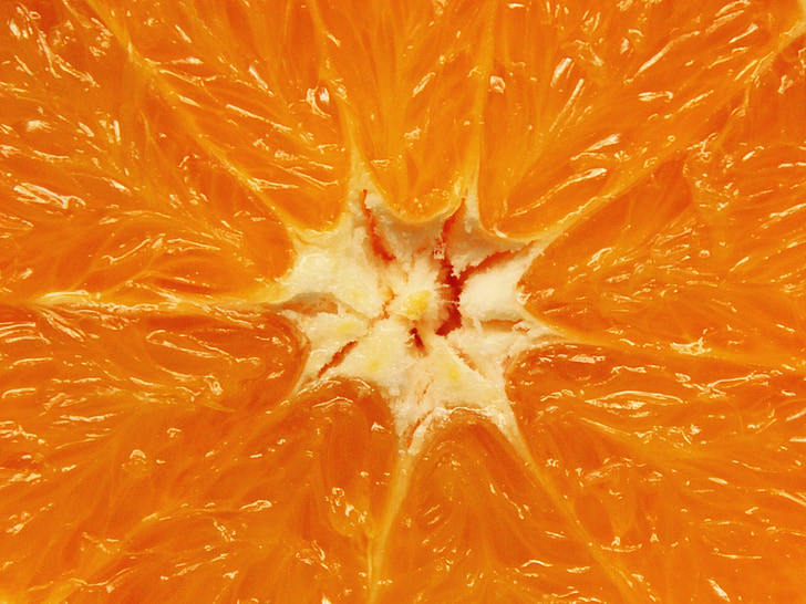 closeup photo of orange citrus fruit