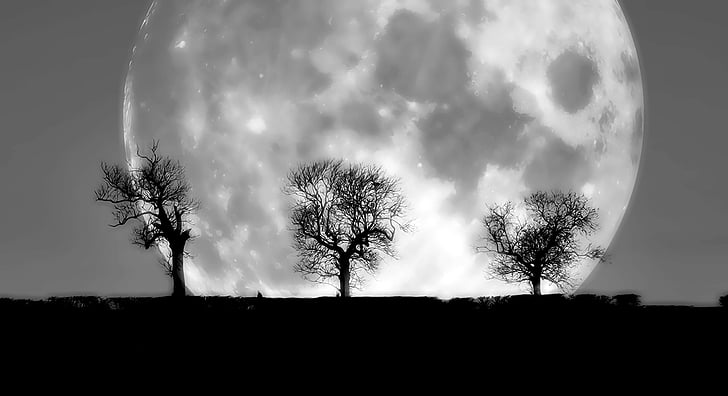 silhouette photography of three bare trees in front of moon