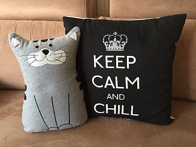 cat-themed and black pillows on brown couch