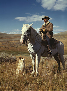 man wearing brown aviator jacket riding horse beside sitting dog