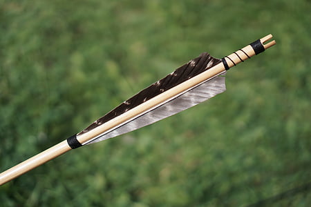 close up photography of brown and black feather arrow