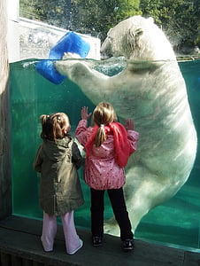 white bear holding blue plastic container