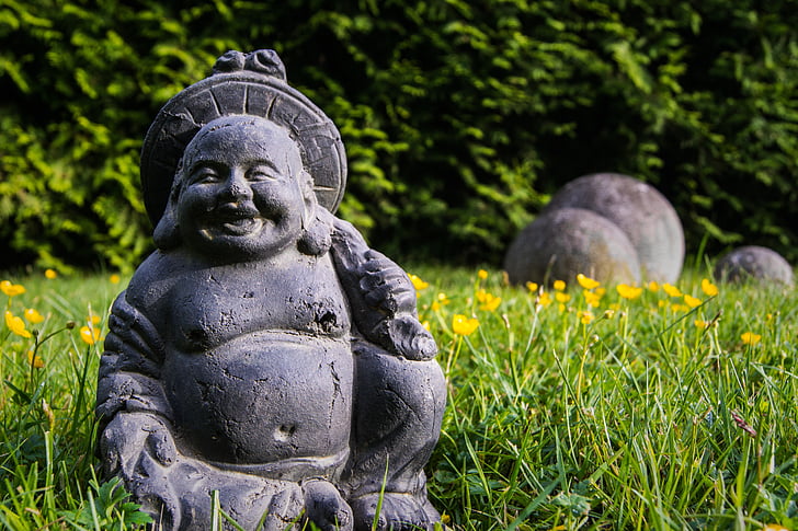 buddha sculpture on green grass field