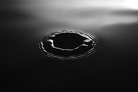 shallow focus photo of a water drop