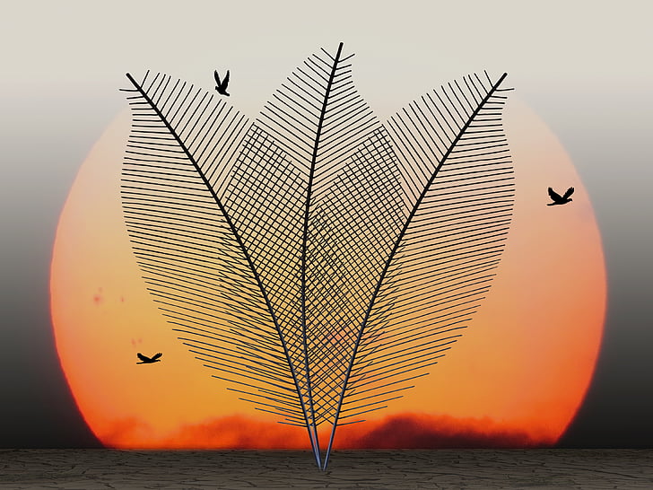 birds during sunset