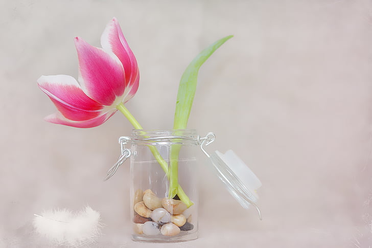 white and pink petaled flower in glass canister jar