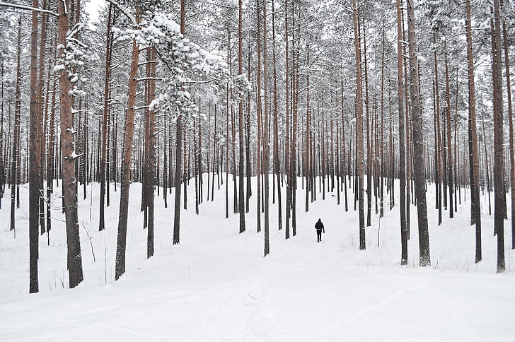 man walking on forest covered by snow