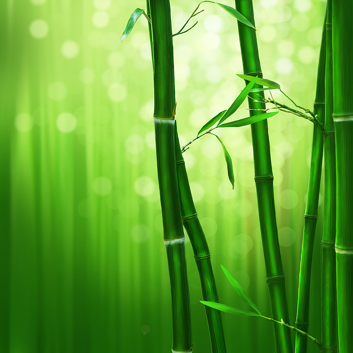 bamboo tree digital artwork