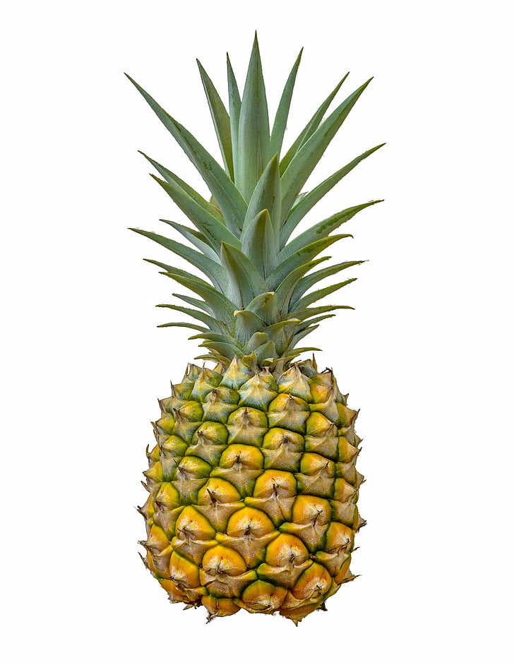 yellow and green pineapple fruit