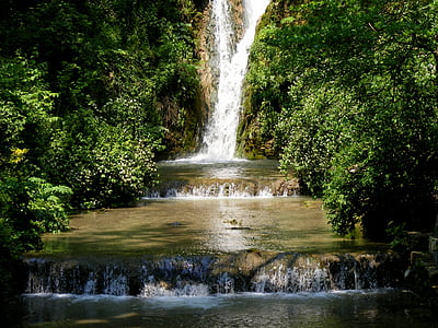 waterfalls surrounded by tall tree at daytime
