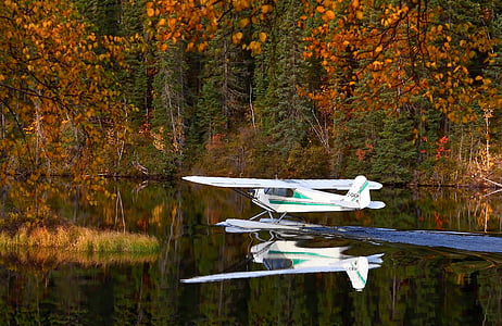 white and green monoplane on water during day time