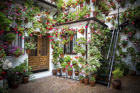 photography of house with flowers