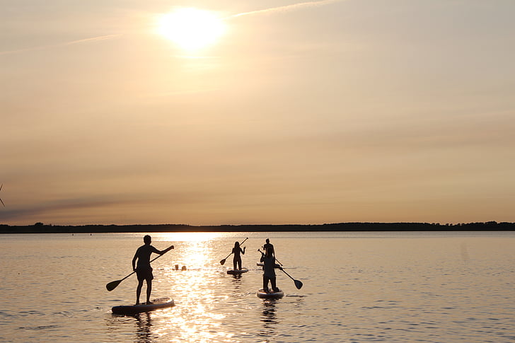 four person riding surfboard while rowing on body of calm sea water during daytime