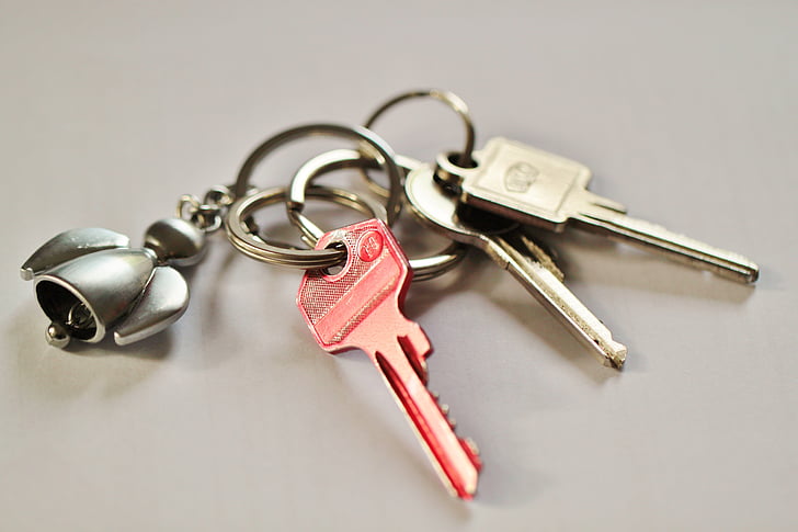 Plain Key Chain for Car Key, House Key Minimalist Aesthetic