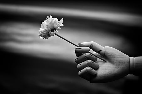 shallow focus grayscale photography of dummy hand holding flower