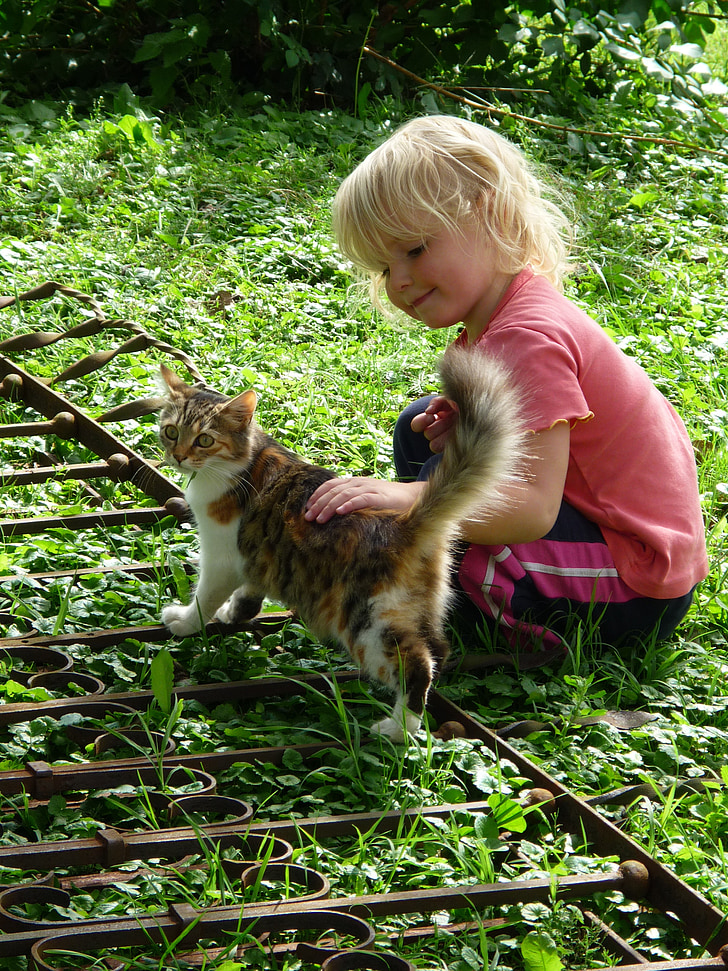 toddler holding orange tabby cat photo taken during daytime
