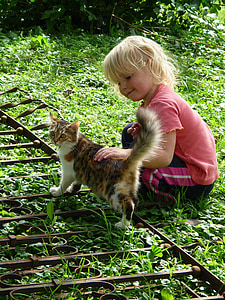 toddler holding orange tabby cat photo taken during daytime