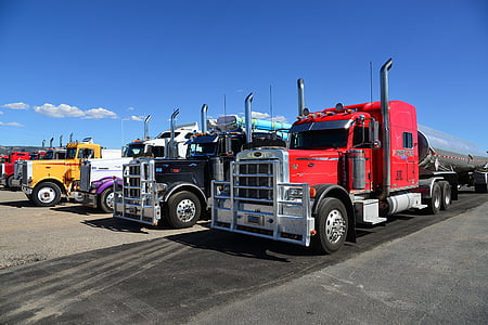 four assorted-color freight trucks under blue sky