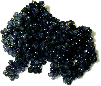 caviar on white surface