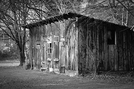 grayscale photo of wooden house surrounded by bare trees