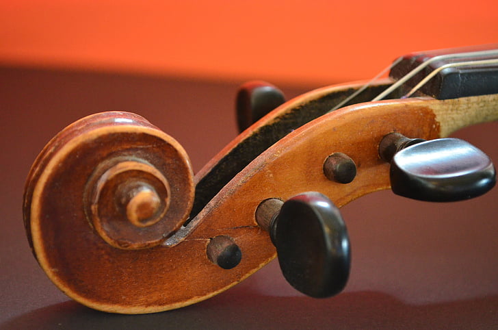brown wooden string instrument head