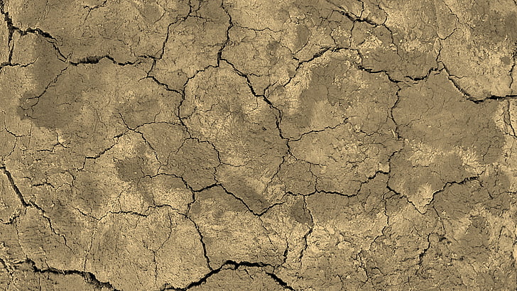 focus photo of dry soil