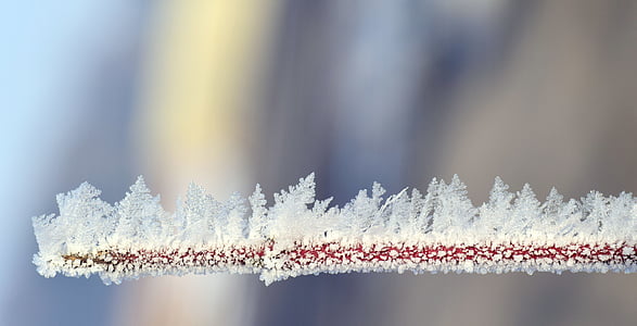 close up photo of snowflakes on stick