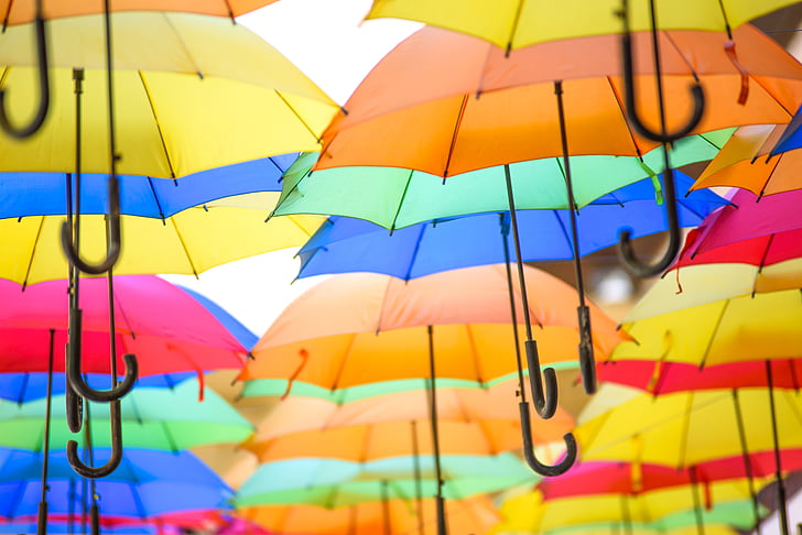 assorted-color hanging umbrella decor photo