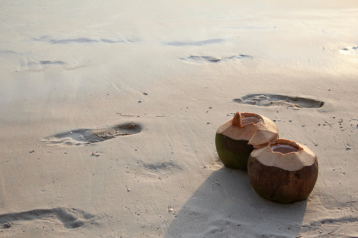 two open coconut fruits on seashore with human footsteps at daytime