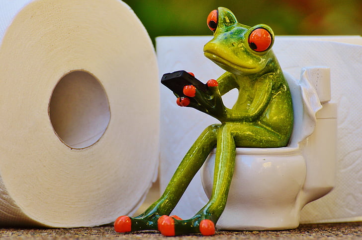 frog sitting on toilet holding phone figurine