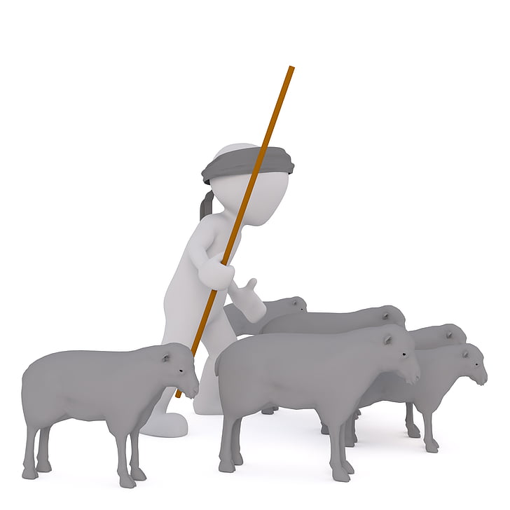 shepherd illustration