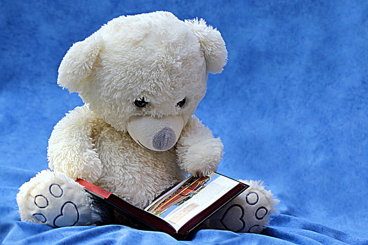 white bear plush toy holding open book