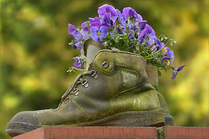 selective focus photography of purple flowers on green boot