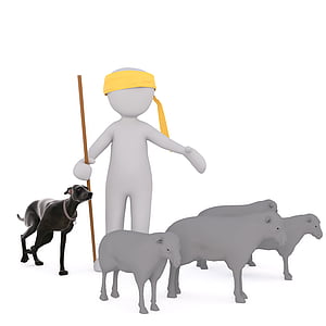 sheep and person illustration
