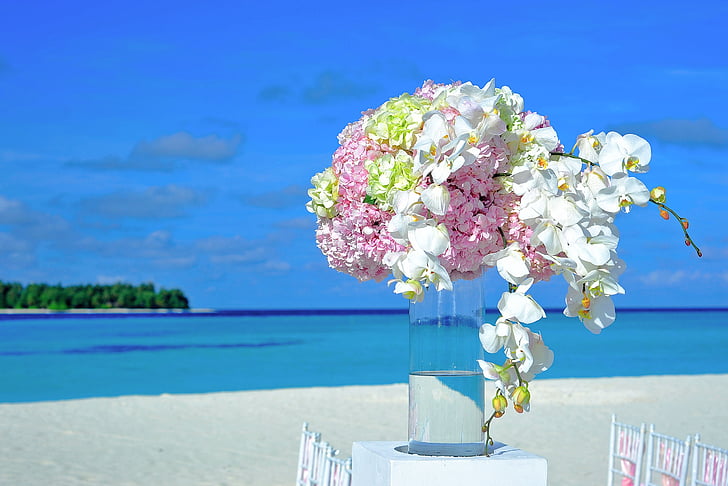 white and pink flowers decor
