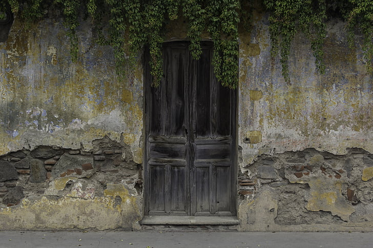 closed door with vines on top