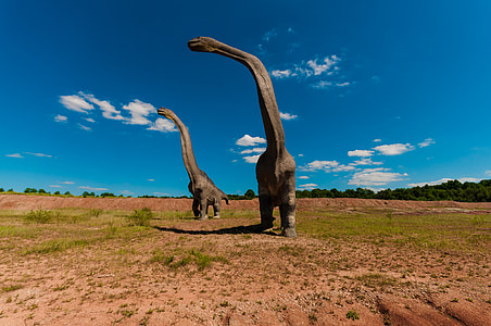 two Brachiosaurus altithorax walking during daytime