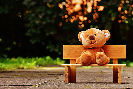 brown bear plush on the bench