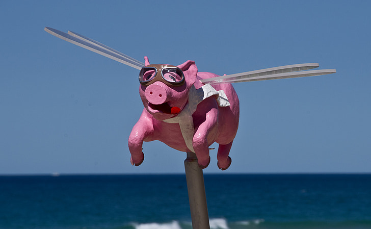 pig wooden figure