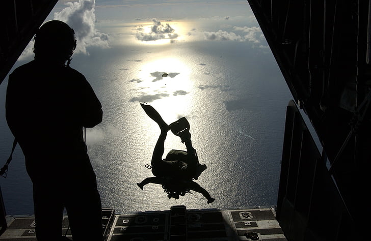 silhouette photo of person dived from the plane