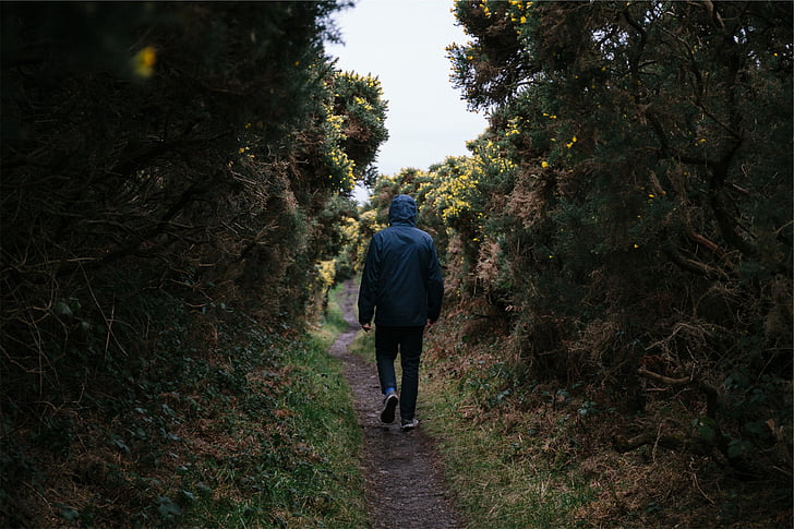 man wearing blue hooded jacket walking on forest