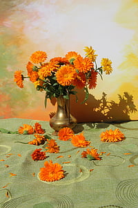 orange petaled flower on vase