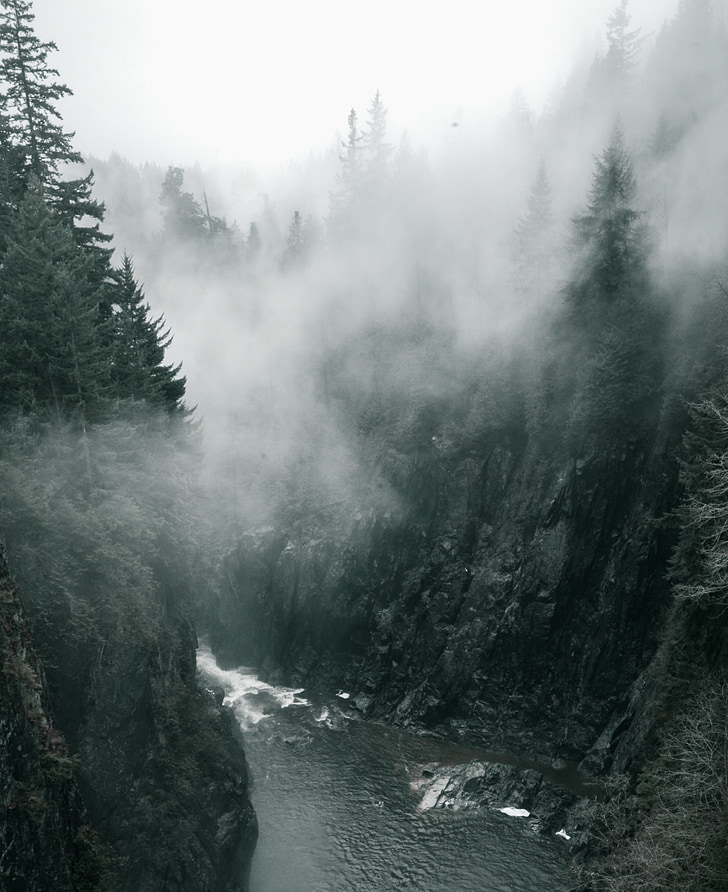 river with fog during daytime