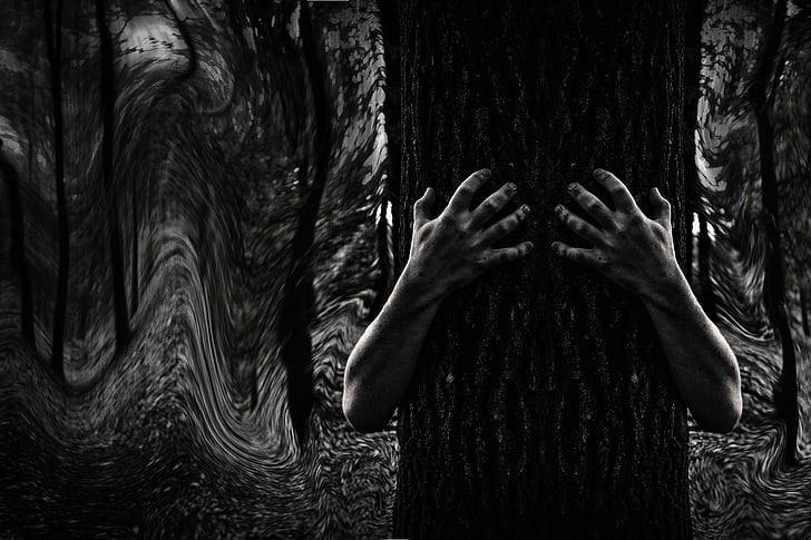 grayscale photo of person's hand hugging tree trunk