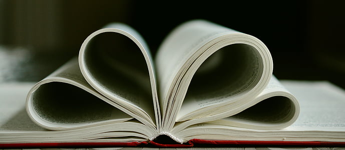focus photography of opened book